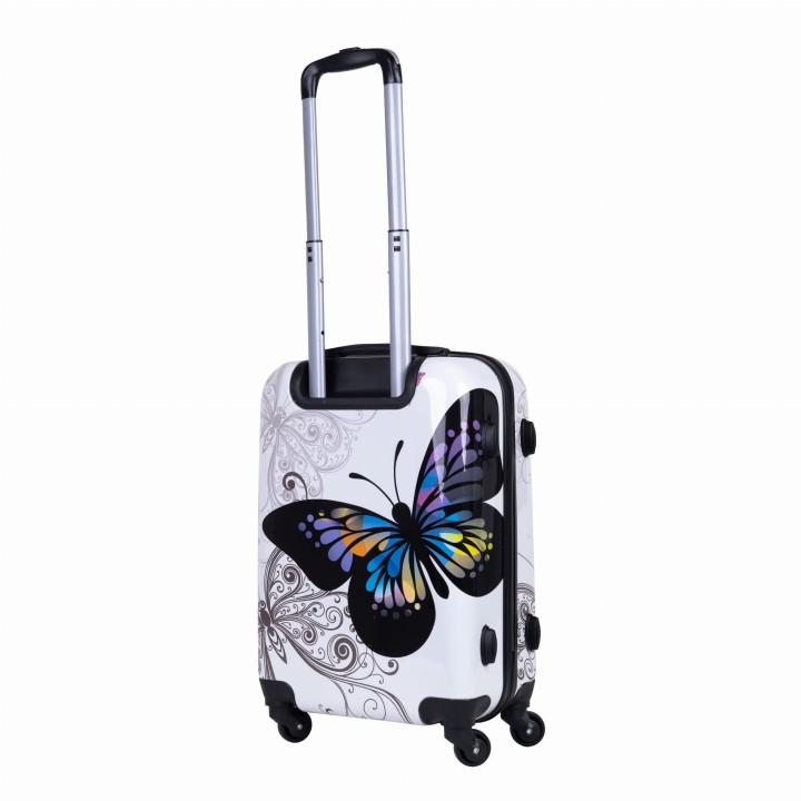motyl_bialy-12.JPG