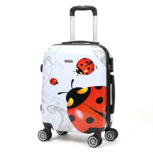 ladybug_front.jpg